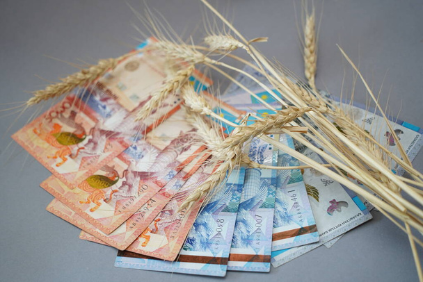 Almaty, Kazahsztán - 10.04.2022: Kazahsztáni tenge bankjegyei és betakarított búza szárai az asztalon. - Fotó, kép