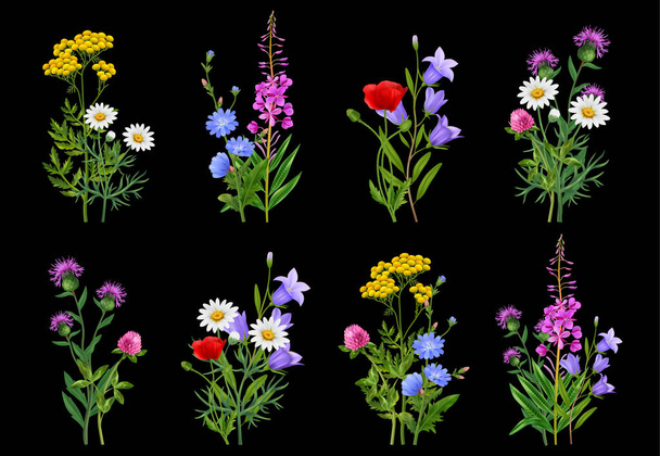 Realistic wildflower bundles icons set on black background isolated vector illustration - Vector, Image