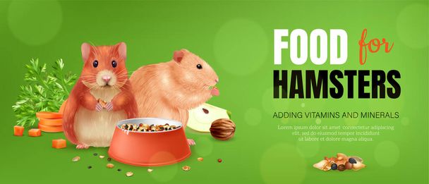 Realistische hamster poster met grappig huisdier en zijn accessoires geïsoleerde vector illustratie - Vector, afbeelding
