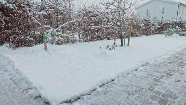 Kaunis talvi näkymä yksityinen puutarha lumen peitossa puita ja pensaita. Ruotsi. - Materiaali, video
