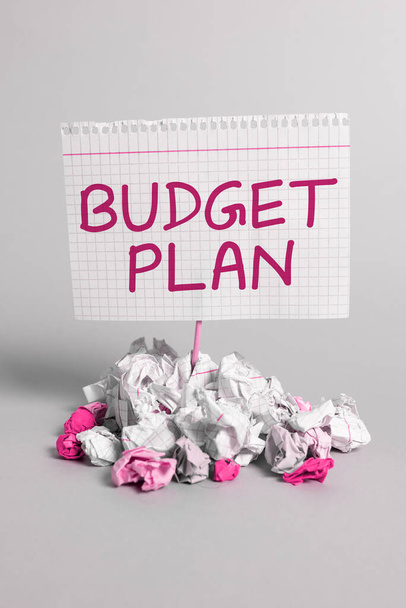 Schrijven van de tekst begrotingsplan, Concept betekent financiële planning voor een bepaalde periode meestal jaar - Foto, afbeelding