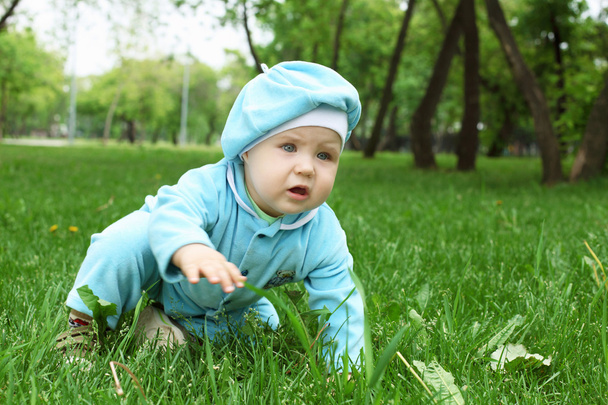 Portrait of a baby boy in the park - Zdjęcie, obraz
