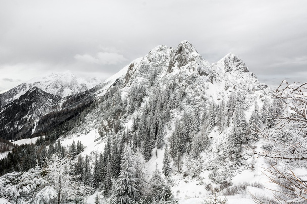 Karla kaplı dağın tepesi - Fotoğraf, Görsel