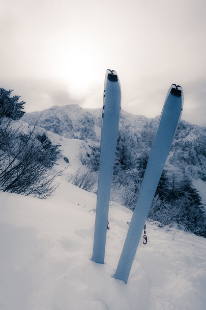 Coppia di sci sulla neve
 - Foto, immagini