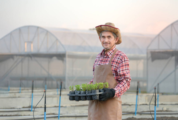 Portre mutlu son sınıf öğrencisi elinde süs bitkilerinin fidelerini tutuyor, çiftlikte çalışan yaşlı Asyalı çiftçi. - Fotoğraf, Görsel