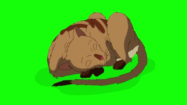 Punainen Tabby Cat valehtelee ja nukkuu. Käsintehty animoitu silmukka 4K kuvamateriaalia eristetty vihreällä näytöllä - Materiaali, video
