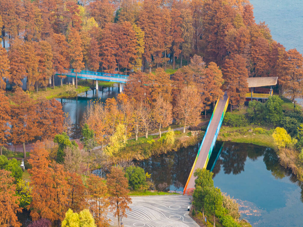 Φθινόπωρο τοπίο της Wuhan East Lake Wetland Park γραφική περιοχή - Φωτογραφία, εικόνα