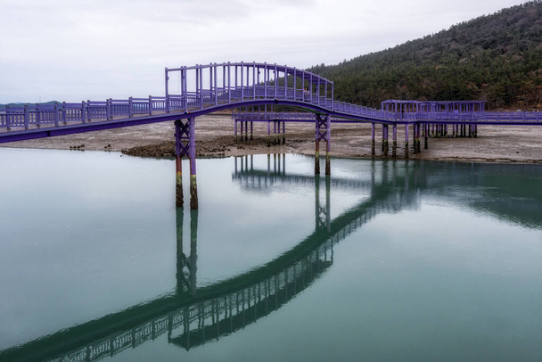 Isole viola sinan con ponti di colore viola e passerelle. Famosa destinazione turistica situata al largo della costa dell'isola di Anjwa a Sinan, Corea del Sud - Foto, immagini