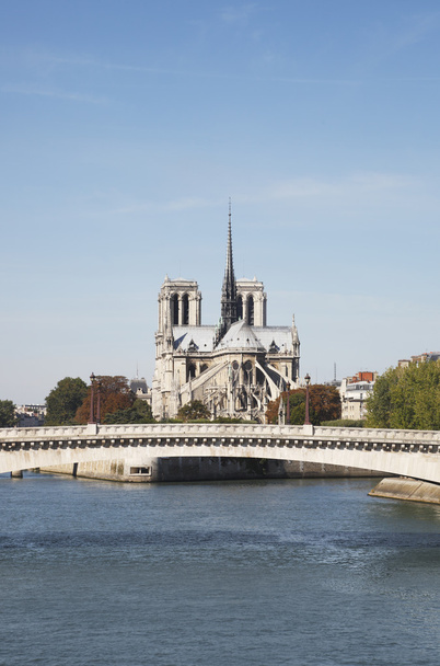Notre Dame - Foto, Bild