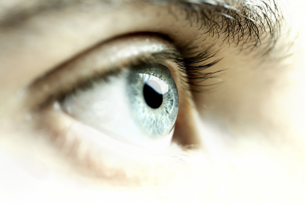 Olho azul close-up
 - Foto, Imagem