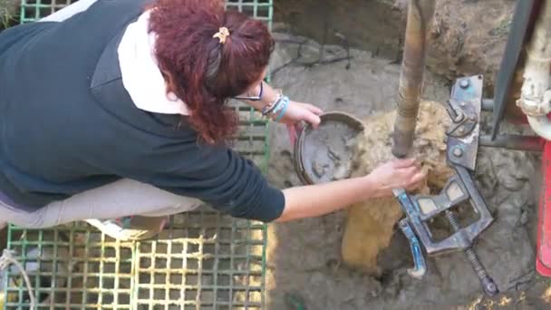 Female worker building a well in the house courtyard. - Footage, Video