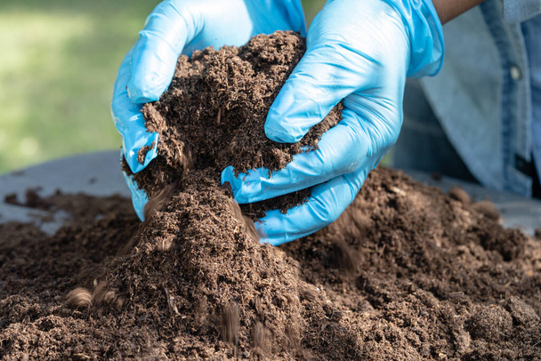 Kézi gazdaság tőzegmoha szerves anyag javítja a talajt a mezőgazdaság ökológiai üzem termesztés, ökológia koncepció. - Fotó, kép