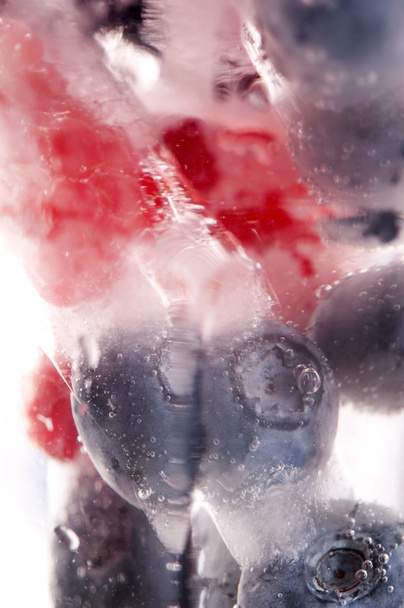 Framboises et mûres congelées dans des bâtonnets de glace
 - Photo, image