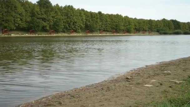 Calmness of a nature at a commercial fishing lake - Materiaali, video