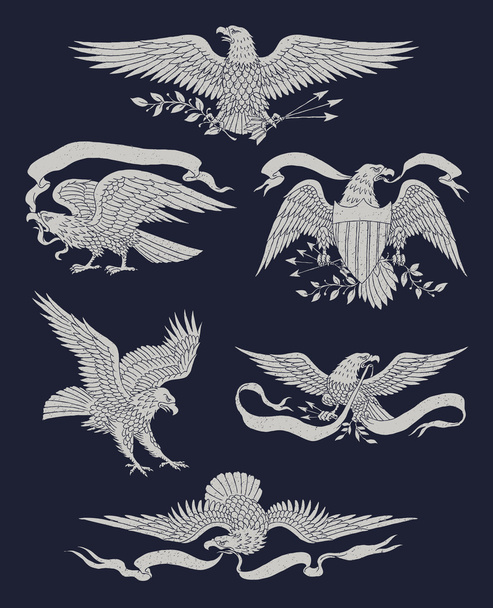 Conjunto de vetores de águia vintage desenhado à mão
 - Vetor, Imagem