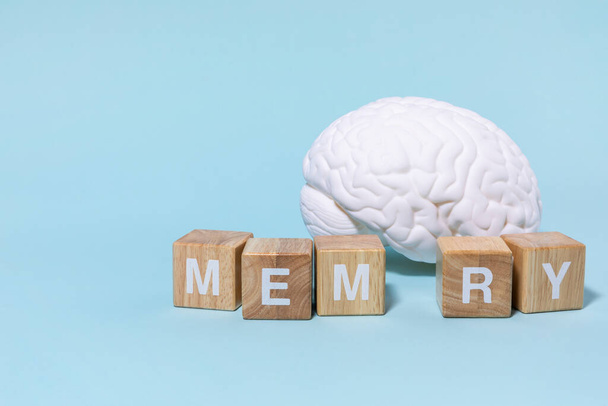 brain health and dementia series, a block with memory on it and a brain miniature - Foto, afbeelding