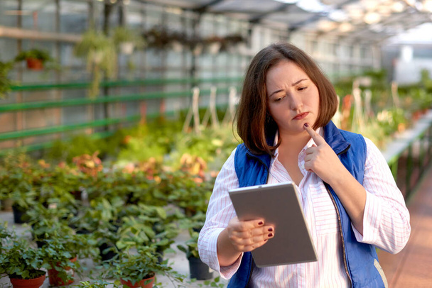 Çiçek kataloğu olan düşünceli bir kadın çalışanın serada online tableti. Serada, çiçeklerde konsept iş. - Fotoğraf, Görsel