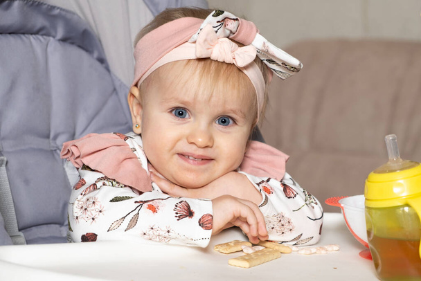 Piękna, jednoletnia dziewczynka je ciasteczka siedząc na krześle. Produkty uzupełniające dla dzieci, słodycze, cukier - Zdjęcie, obraz