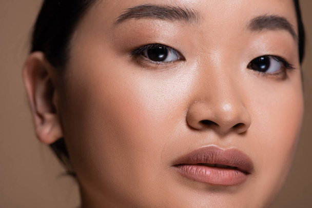 Close up view of asian model with natural makeup looking at camera isolated on brown  - Valokuva, kuva
