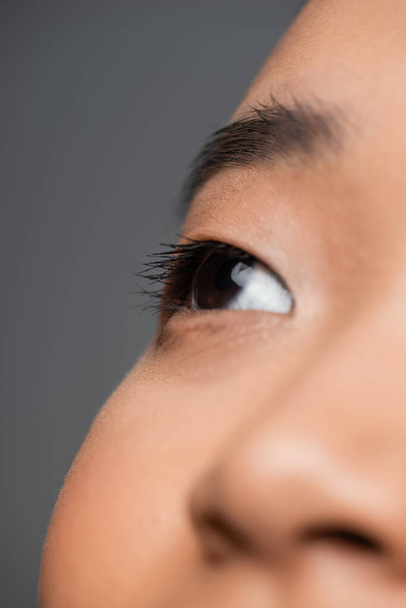 close up view of cropped asian woman with perfect skin and black mascara on eyelashes isolated on grey - Valokuva, kuva