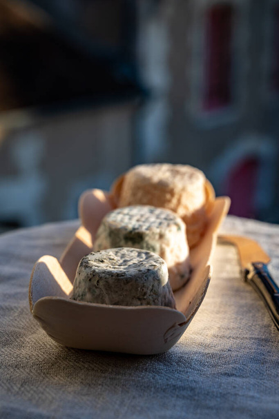 Petits fromages de chèvre français, affinés et avec moisissure grise de Macon, Bourgogne, France - Photo, image
