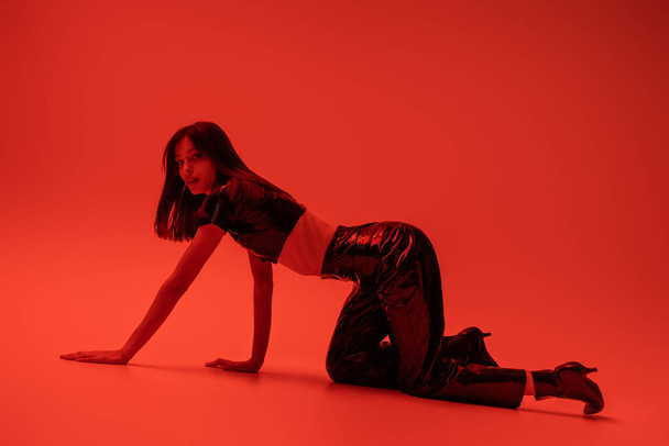 full length of stylish woman in latex crop top and trousers crawling on red - Fotografie, Obrázek
