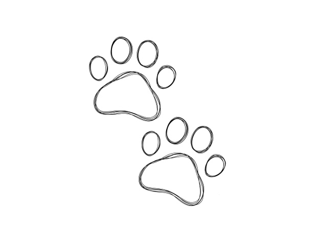Dog footprints line art print. Love for a pet. Paw doodle illustration  - Photo, Image