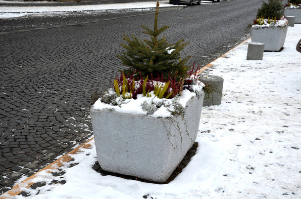 Een grijze bloempot is een rechthoekige bloempot met bloeiende vaste planten op een plein of op een straat in een park. wegbarrière van staal, beton, salie, heide, bollard granieten cilinder, zonnig - Foto, afbeelding