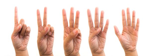 Manos, dedos y números. Sobre un fondo blanco
 - Foto, imagen