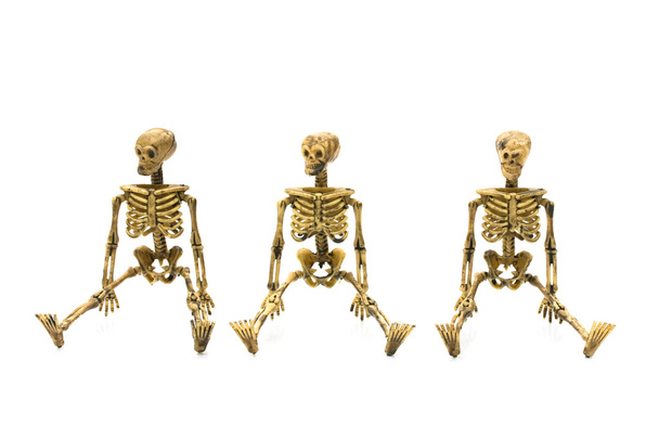 szkieletów - Zdjęcie, obraz