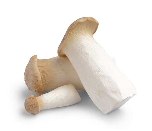 Heap de cogumelos frescos rei ostra isolado no fundo branco - Foto, Imagem