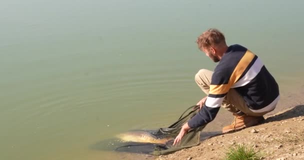Angler releasing a fish from his net - Záběry, video