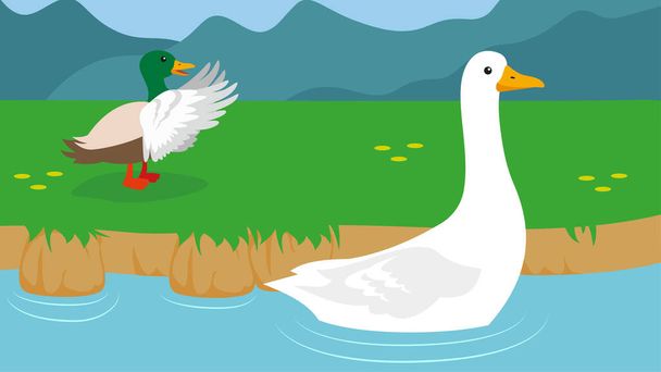 Белая утка плавает на воде - Вектор,изображение