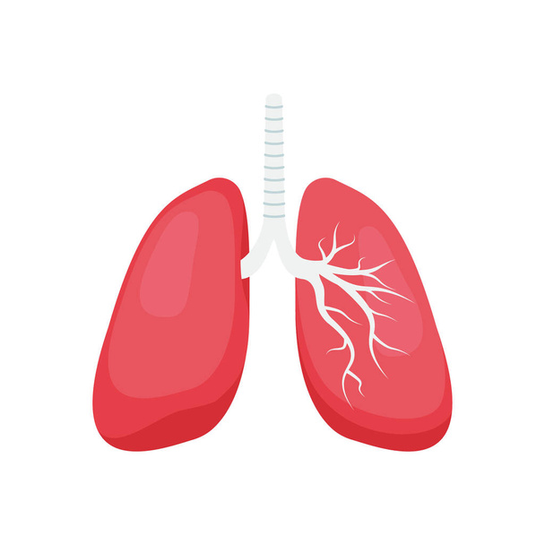 lungs icon. flat illustration of lung icons for web - Foto, imagen