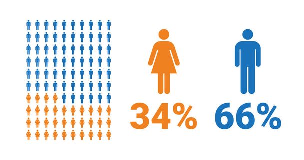 34% femminile, 66% infografica maschile a confronto. Percentuale di uomini e donne. Grafico vettoriale. - Vettoriali, immagini