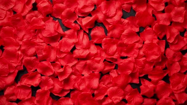 Background of beautiful red rose petals. Valentine Day or Love concept. Top view with copy space. - Footage, Video