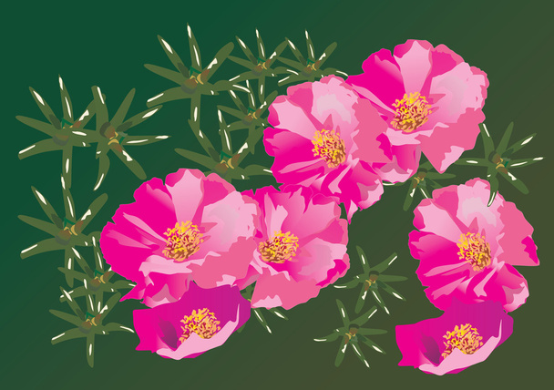 siete flores rosa ilustración
 - Vector, imagen