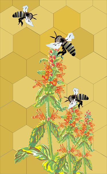 три пчелы и цветы
 - Вектор,изображение