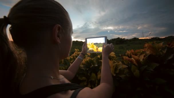 Vrouw met behulp van tablet Pc te nemen foto's van natuurtaferelen - Video