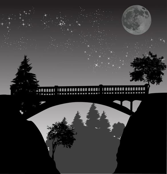 ponte notturno in piena notte
 - Vettoriali, immagini