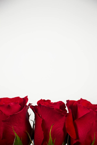 Валентинів день. Склад квітів. Круглі рамки зроблені з квітів троянд, конфетті на білому тлі. Валентинів день. Плоть, зверху, копія простору. - Фото, зображення