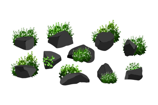 Collection of pieces of coal, graphite, basalt and anthracite. A set of black charcoal of various shapes and plants.The concept of mining and ore in a mine.Rock fragments,boulders. - Vector, Image