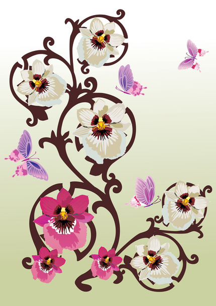 розовые и белые орхидеи на коричневых кудрях
 - Вектор,изображение