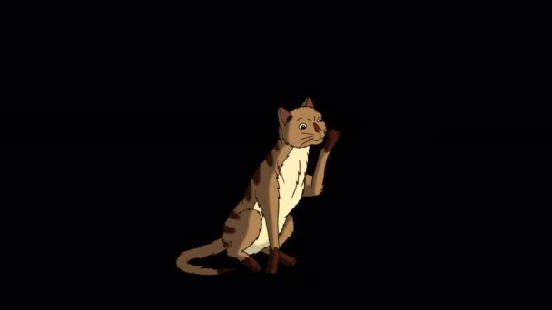 Red Tabby Cat lamiendo su pata. Imágenes de 4K en bucle animadas hechas a mano aisladas en el canal alfa - Metraje, vídeo
