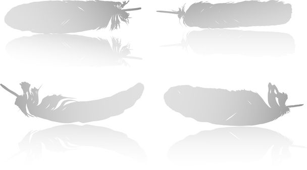 four feathers with reflections - Vector, Image