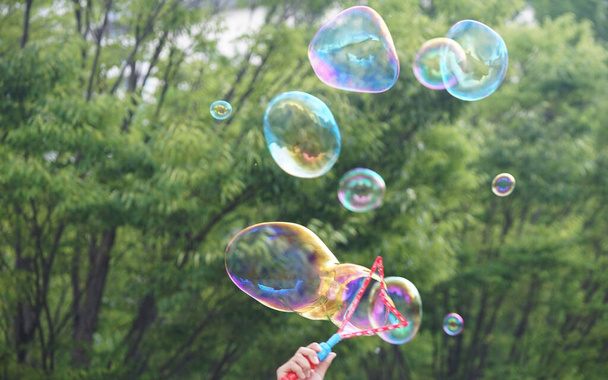  Soap bubbles to play in a park                               - Foto, Imagen