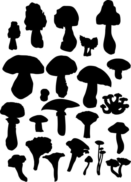 изолированные грибные силуэты
 - Вектор,изображение