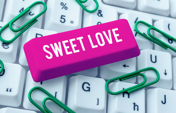愛する人のための甘い愛、インターネットのコンセプトタイトルを表示するサイン｜Happy Valentines Day - 写真・画像
