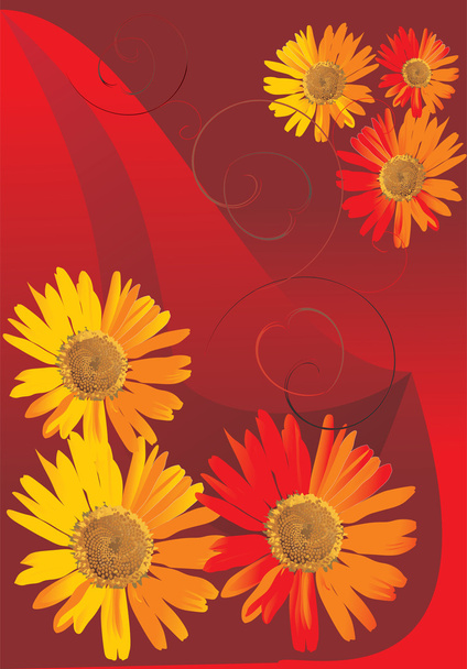 six camomiles flowers design - Vector, Image
