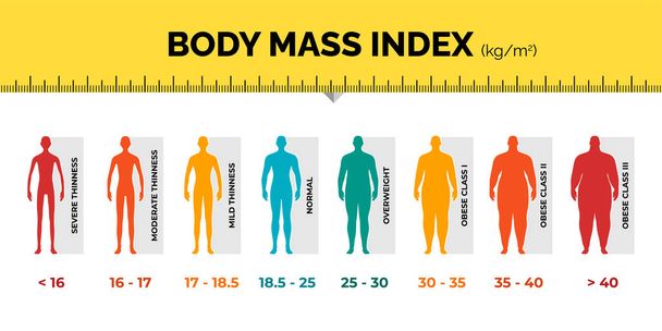 Διάγραμμα ταξινόμησης BMI άνθρωπος μέτρησης πολύχρωμο infographic με χάρακα. Αρσενική συλλογή κλίμακας Δείκτης Μάζας Σώματος από λιποβαρές έως υπέρβαρες ταιριάζει. Πρόσωπο διαφορετικό επίπεδο βάρους. Εικονογράφηση διανύσματος - Διάνυσμα, εικόνα
